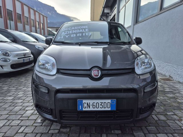 Fiat Panda Panda 1.0 firefly hybrid s&s 70cv - foto 2 di 4