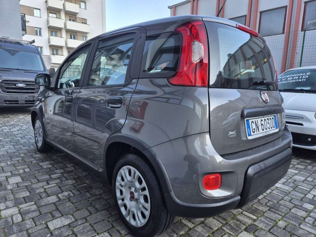 Fiat Panda Panda 1.0 firefly hybrid s&s 70cv - foto 4 di 4