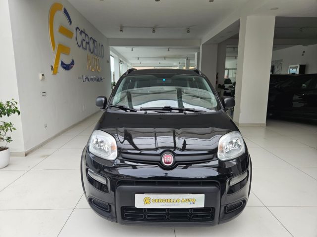 Fiat Panda 1.0 FireFly S&S Hybrid City Life da ?129,00 mensil usato a SOMMA VESUVIANA