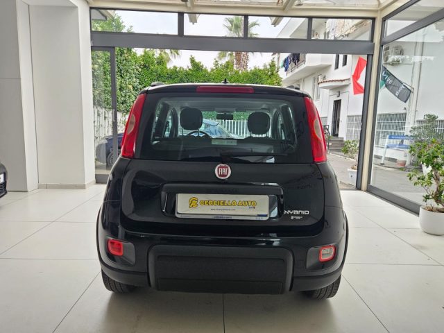 Fiat Panda 1.0 FireFly S&S Hybrid City Life da ?129,00 mensil - foto 2 di 16