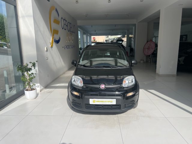 Fiat Panda 1.0 FireFly S&S Hybrid City Life da ?129,00 mensil usato a SOMMA VESUVIANA