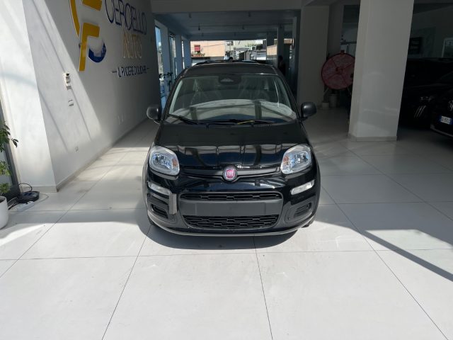 Fiat Panda 1.0 FireFly S&S Hybrid Icon tua da ?149,,00 km 0 a SOMMA VESUVIANA