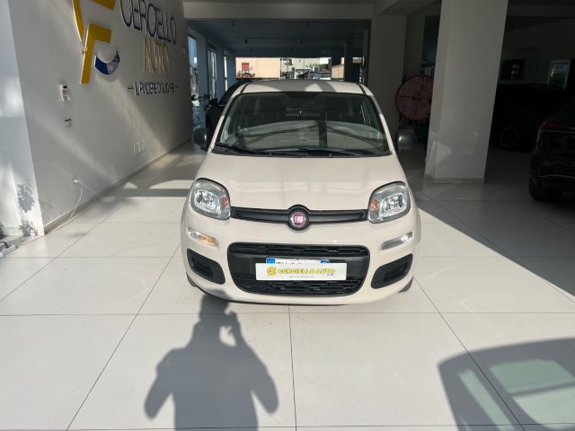 Fiat Panda 1.2 EasyPower Easy usato a SOMMA VESUVIANA