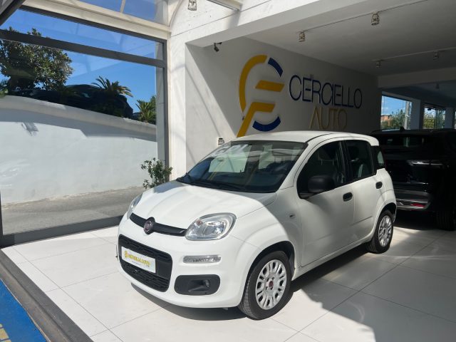 Fiat Panda 1.2 EasyPower Easy usato a SOMMA VESUVIANA