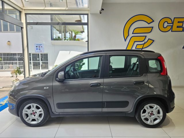 Fiat Panda 1.0 FireFly S&S Hybrid City Life da ?129,00 mensil usato a SOMMA VESUVIANA