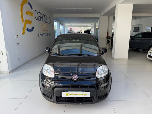 Fiat Panda 1.0 FireFly S&S Hybrid sport tua da ?139,00 mensil - foto 3 di 4