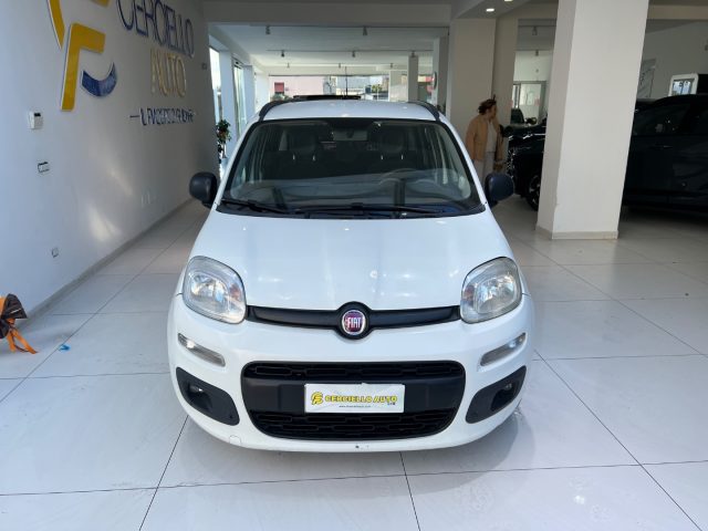 Fiat Panda 1.3 MJT S&S Lounge usato a SOMMA VESUVIANA