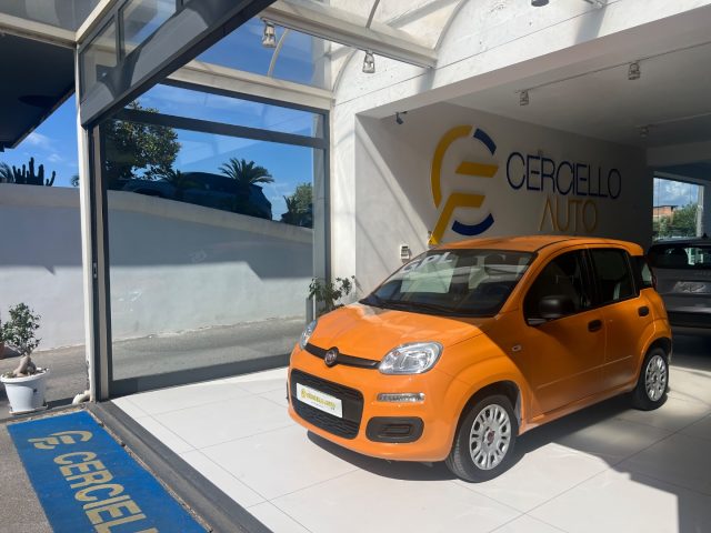 Fiat Panda 1.2 EasyPower TUA A SOLI 110 EURO MENSILI usato a SOMMA VESUVIANA