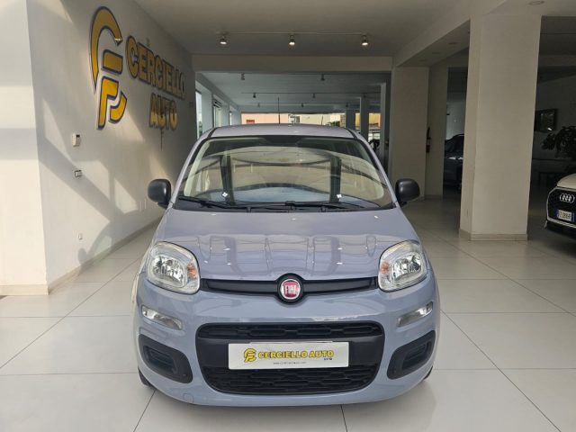 Fiat Panda 1.0 FireFly S&S Hybrid da ?119,00 mensili usato a SOMMA VESUVIANA