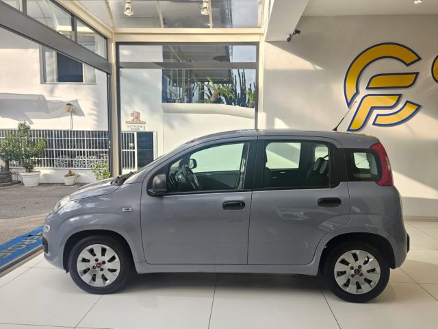 Fiat Panda 1.0 FireFly S&S Hybrid da ?119,00 mensili - foto 3 di 4