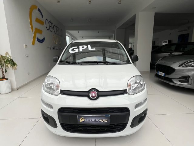 Fiat Panda 1.2 EasyPower gpl da ?119,00 mensili usato a SOMMA VESUVIANA