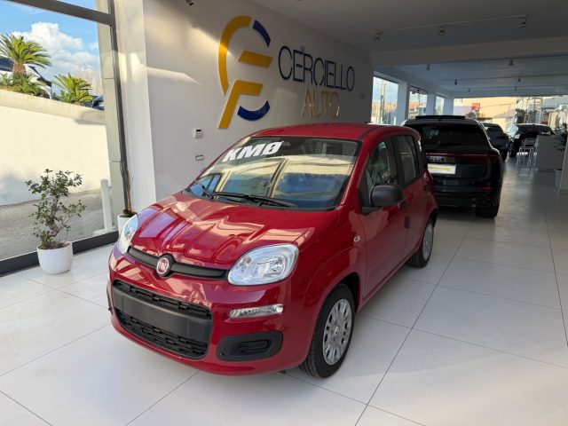 Fiat Panda 1.0 FireFly S&S Hybrid Pop da ?139,00 mensili - foto 2 di 4