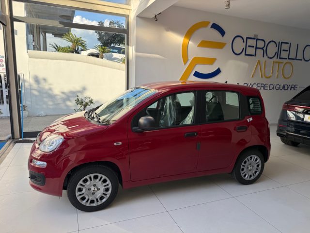Fiat Panda 1.0 FireFly S&S Hybrid Pop da ?139,00 mensili - foto 4 di 4