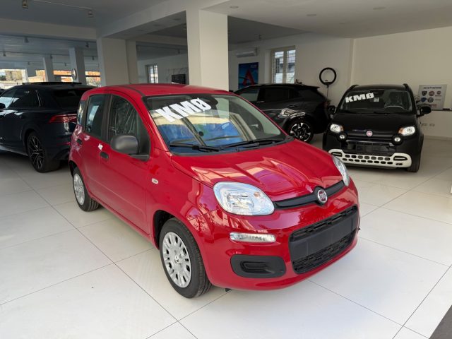 Fiat Panda 1.0 FireFly S&S Hybrid Pop da ?139,00 mensili - foto 3 di 4