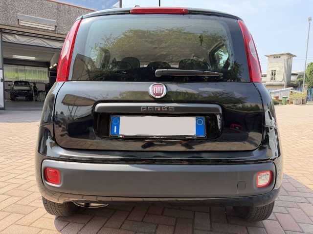 Fiat Panda Panda 2016 1.2 Young 69cv Euro 6 Clima WRC AUTO SR - foto 2 di 4