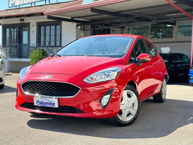 Ford Fiesta 1.1 5 porte Plus PARI AL NUOVO usato a QUALIANO