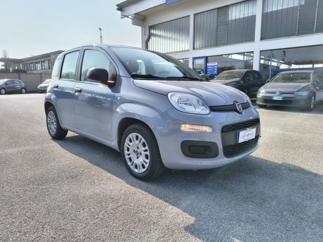 Fiat Panda 1.0 FireFly S&S Hybrid - foto 3 di 4