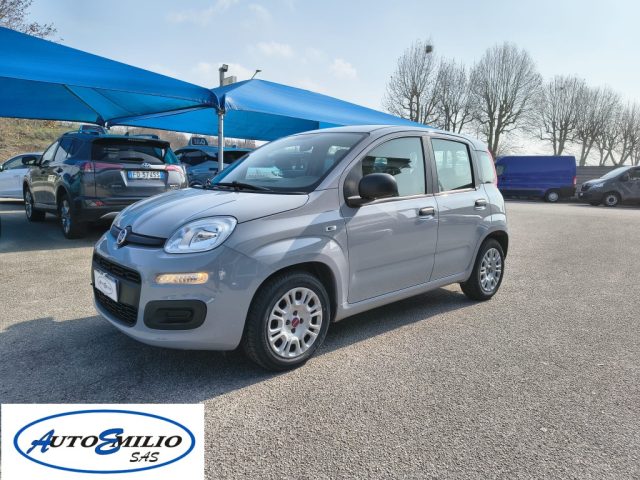 Fiat Panda 1.0 FireFly S&S Hybrid usato a ALONTE