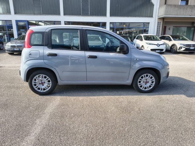 Fiat Panda 1.0 FireFly S&S Hybrid - foto 4 di 4