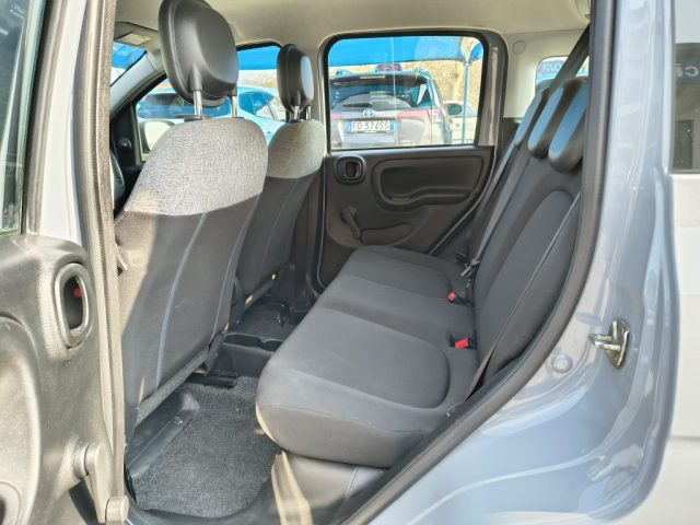 Fiat Panda 1.0 FireFly S&S Hybrid usato a ALONTE