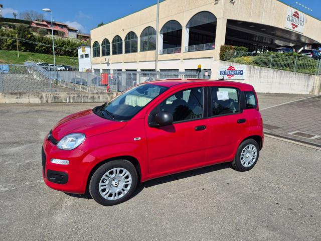 Fiat Pandina 1.0 FireFly 65 CV Hybrid Icon - foto 3 di 4