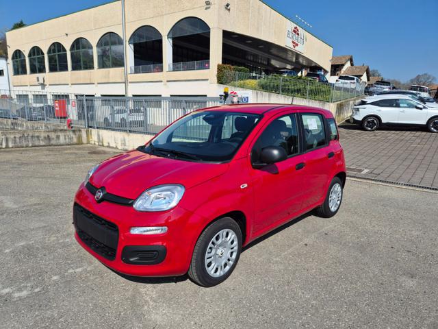 Fiat Pandina 1.0 FireFly 65 CV Hybrid Icon - foto 2 di 4