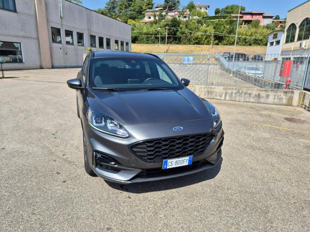 Ford Kuga 2.0 EcoBlue 120 CV aut. 2WD ST-Line - foto 4 di 4
