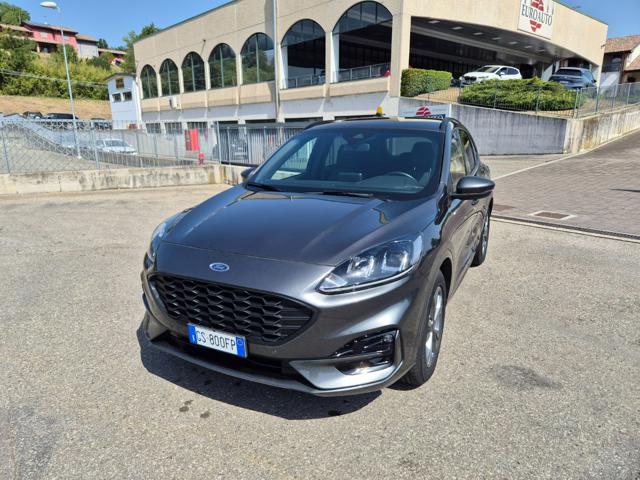Ford Kuga 2.0 EcoBlue 120 CV aut. 2WD ST-Line usato a MEDESANO