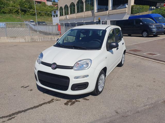 Fiat Pandina 1.0 FireFly 65 CV Hybrid Icon, del 2026, in vendita a Medesano (PR)
