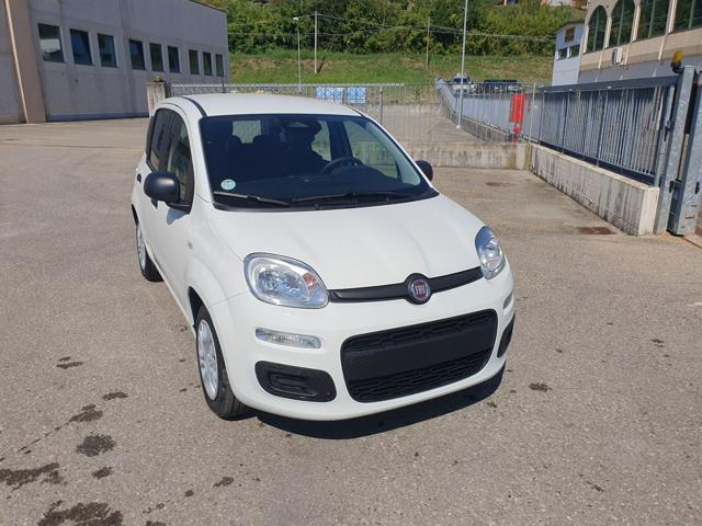 Fiat Pandina 1.0 FireFly 65 CV Hybrid Icon - foto 4 di 4