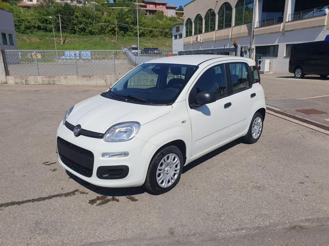 Fiat Pandina 1.0 FireFly 65 CV Hybrid Icon - foto 2 di 4