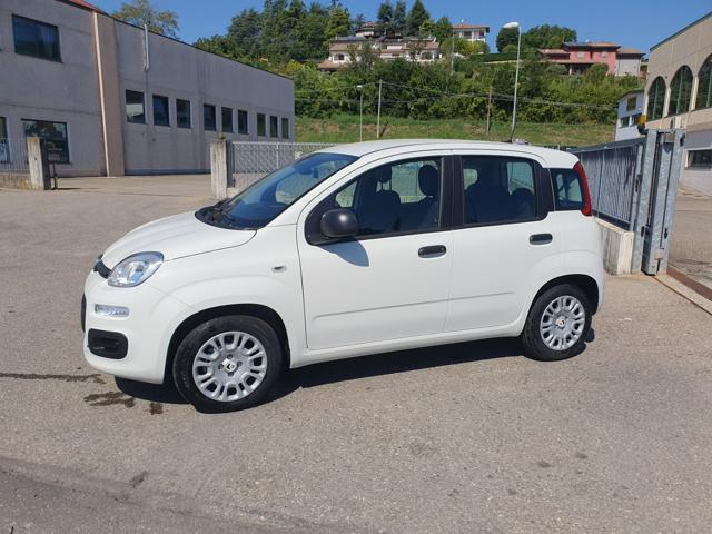 Fiat Pandina 1.0 FireFly 65 CV Hybrid Icon - foto 3 di 4