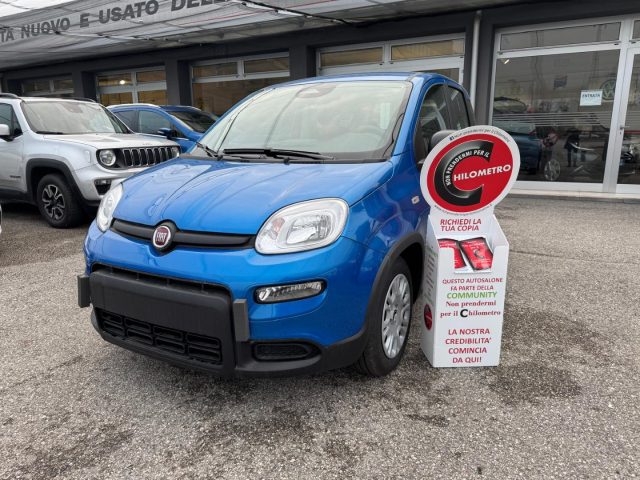 Fiat Panda 1.0 FireFly S&S Hybrid usato a NOALE