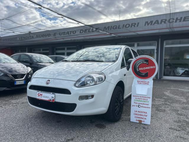 Fiat Punto 1.4 8V 5 porte Natural Power Street usato a NOALE
