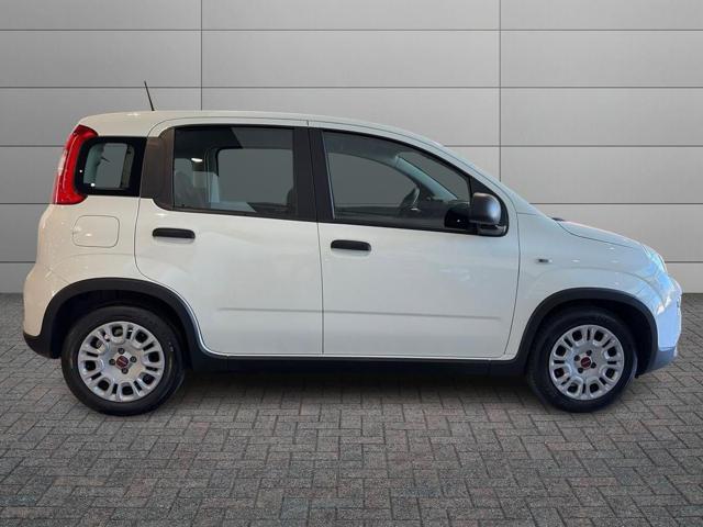 Fiat Panda 1.0 FireFly S&S Hybrid - foto 3 di 4
