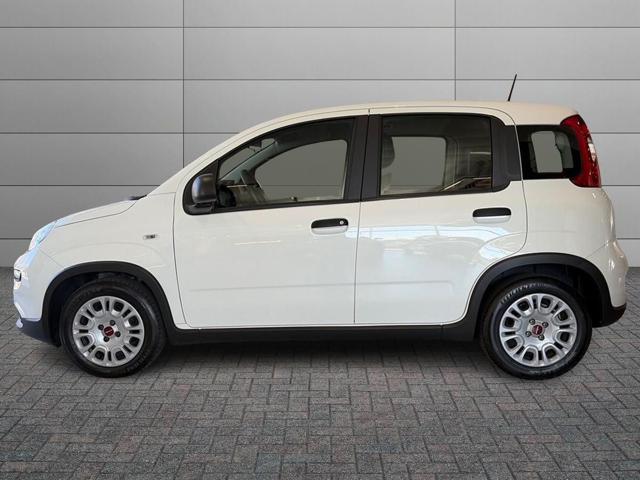 Fiat Panda 1.0 FireFly S&S Hybrid - foto 2 di 4