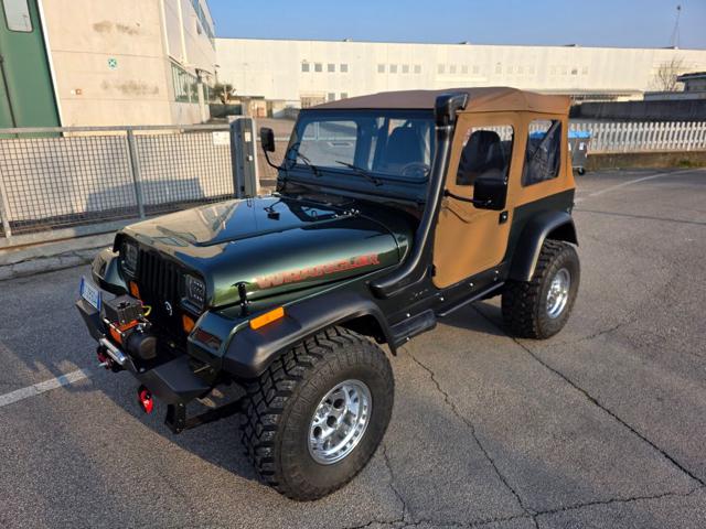 Jeep Wrangler 4.0 cat Hardtop Limited, del 1994, 70.000 km, in vendita a Venezia (VE)