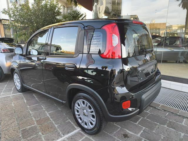 Fiat Panda 1.0 65CV ICON Hybrid - foto 4 di 4