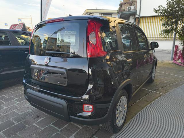 Fiat Panda 1.0 65CV ICON Hybrid - foto 3 di 4
