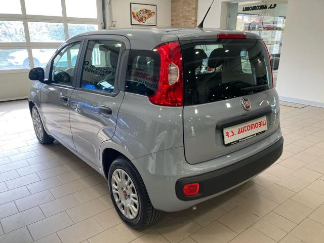 Fiat Panda 1.0 FireFly 70CV S&S Hybrid #5 POSTI - foto 4 di 4