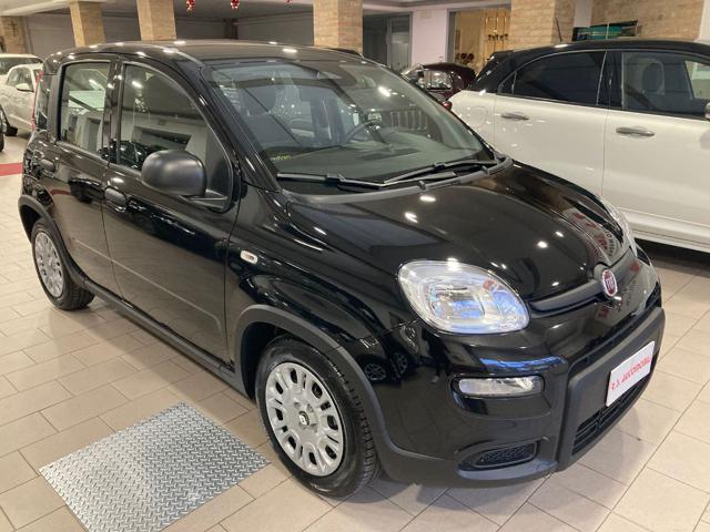 Fiat Panda 1.0 Hybrid 65CV - foto 2 di 4