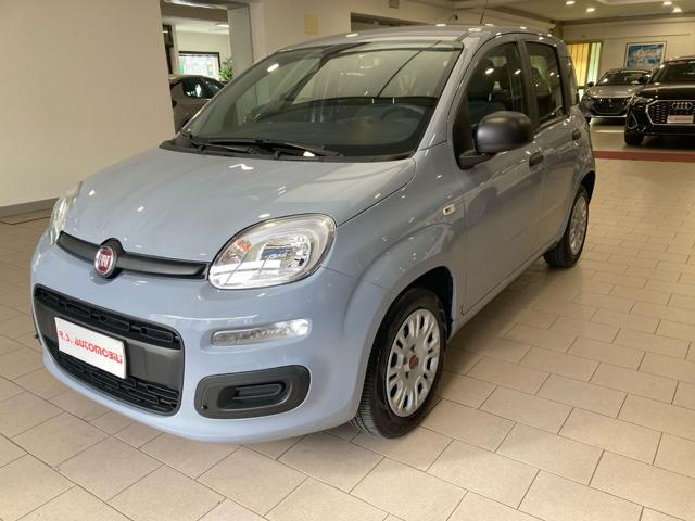 Fiat Panda 1.0 FireFly 70CV S&S Hybrid #5 POSTI usato a MIRA
