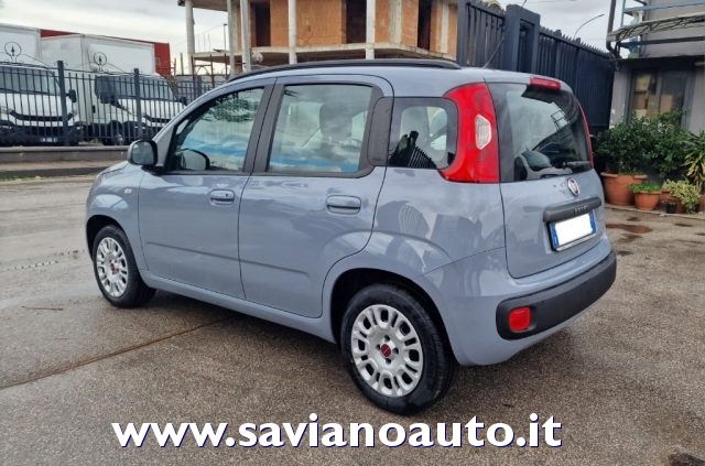 Fiat Panda 1.2 Easy - foto 4 di 4
