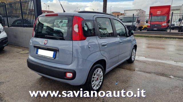 Fiat Panda 1.2 Easy - foto 3 di 4