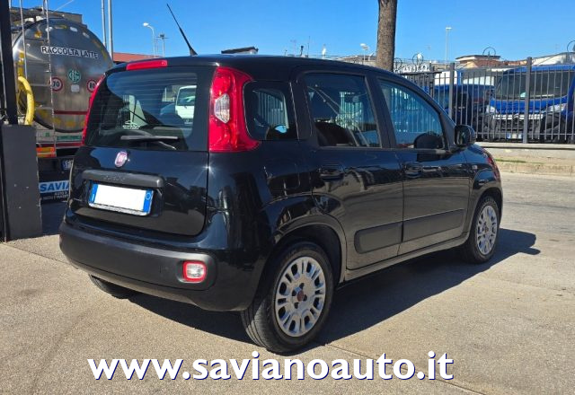Fiat Panda 1.3 MJT S&S Easy " MOTORE NUOVO " - foto 3 di 4