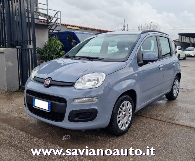 Fiat Panda 1.2 Easy usato a FRATTAMINORE