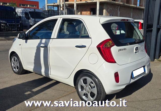 Kia Picanto 1.0 12V EcoGPL 5 porte Glam - foto 4 di 4