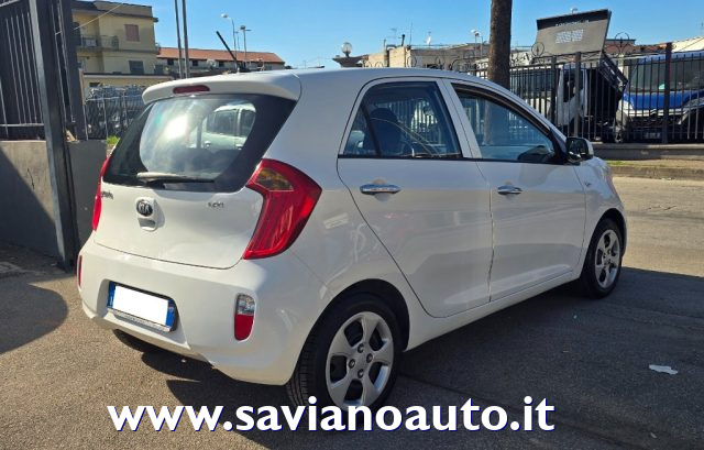 Kia Picanto 1.0 12V EcoGPL 5 porte Glam - foto 3 di 4