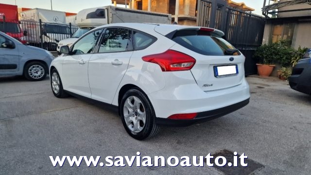 Ford Focus 1.5 TDCi 95 CV Start&Stop Plus - foto 3 di 4