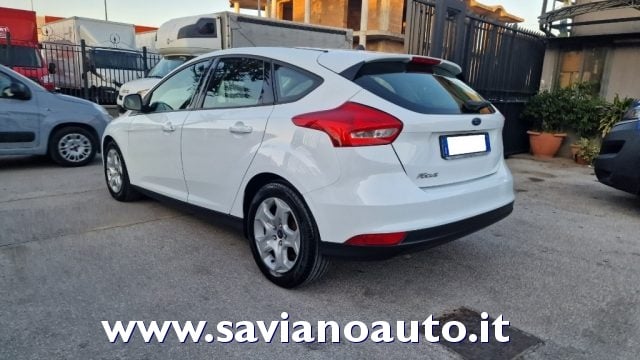 Ford Focus 1.5 TDCi 95 CV Start&Stop Plus - foto 3 di 4